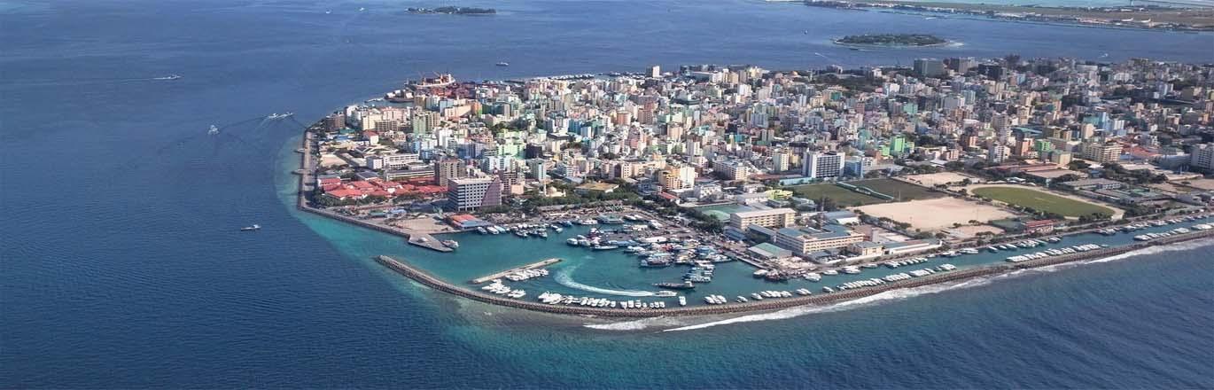 Malé (Masculino)